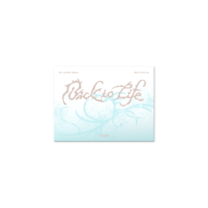 &TEAM Back to Life - Mini CD-R Photocard Box