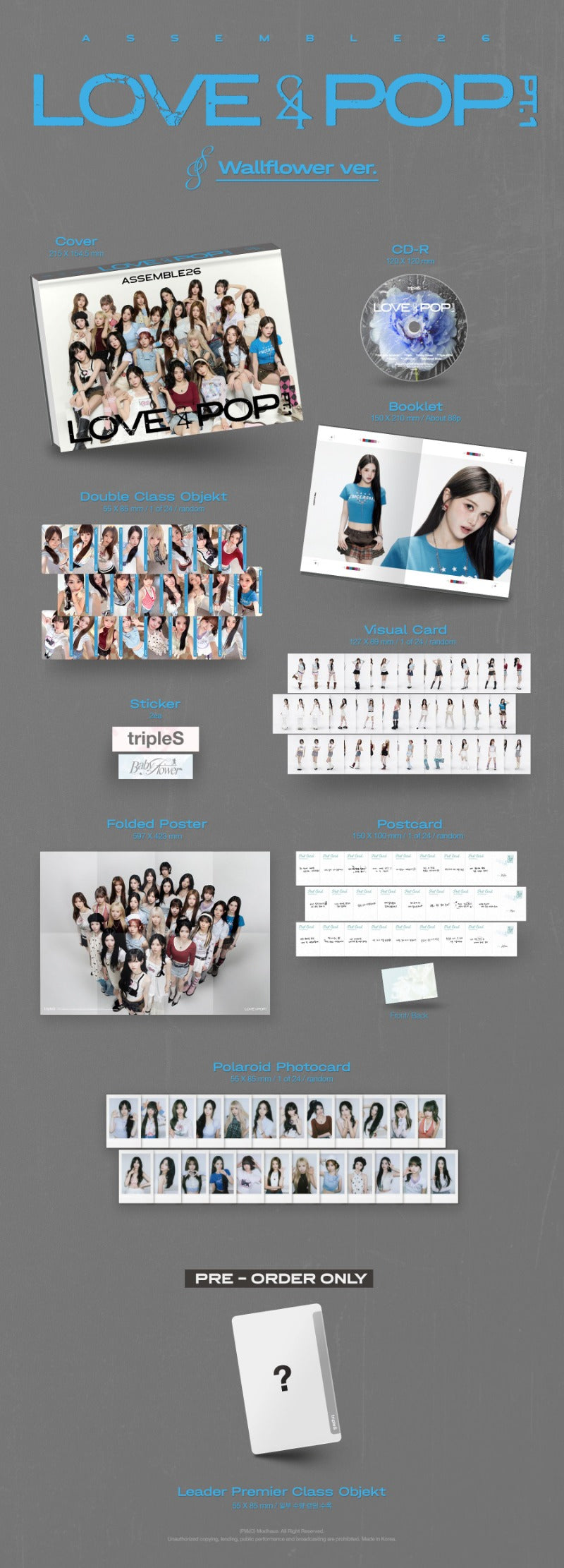 tripleS <LOVE&POP> pt.1 - Random ver