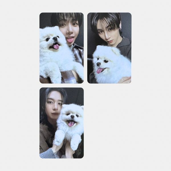 BOYNEXTDOOR HOME Weverse POB 1