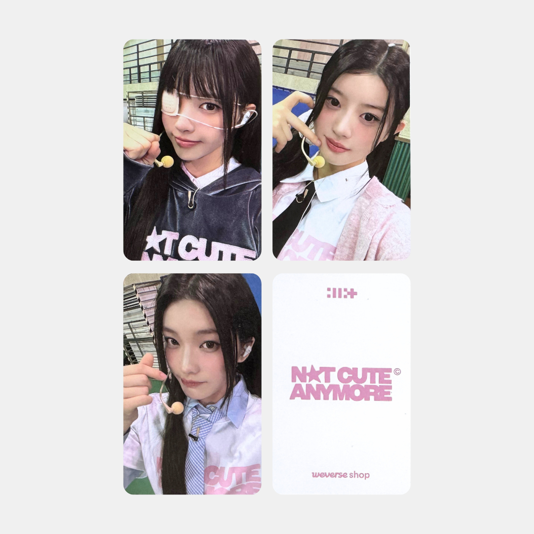 ILLIT NOT CUTE ANYMORE dingo music GIFT 1